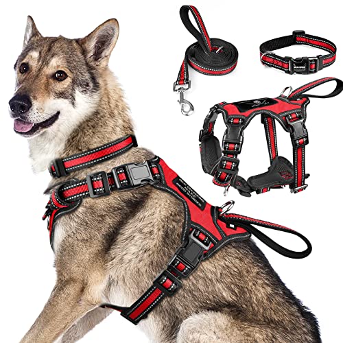 Pet Harness Collar and Leash Set (X-Large / Red)