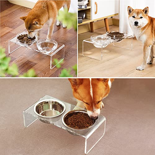 Acrylic Elevated Dog Cat Bowls Pet Feeder Double Bowl Raised Stand Comes with 2 Removable Glass Bowls and 2 Stainless Steel Bowls.Perfect for Medium Dogs (Medium: 5.5'' Height, 34 oz Glass Bowl)