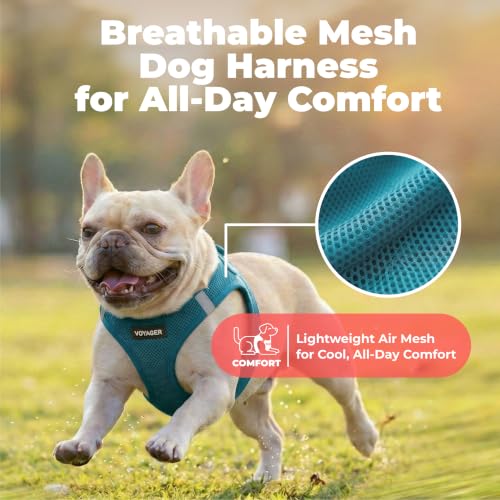 Voyager Step in Air Dog Vest Harness (Turquoise / L (Chest: 18 - 20.5"))