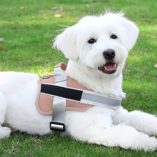 Dog Harness No (Small (Pack of 1) / RosePink)