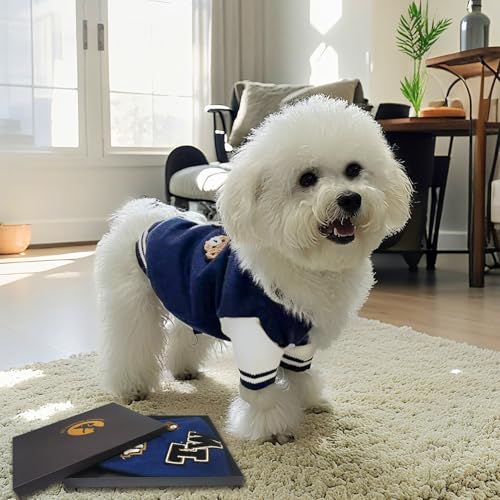 Dog Varsity Sweaters for Small Dogs (Blue / Small(3-6lbs))