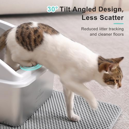 Stainless Steel Litter Box (Silver Grey / XX-Large)