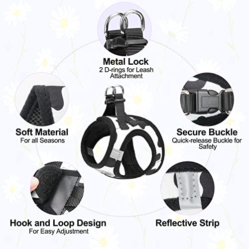 Small Dog Harness and Leash Set (XX-Small(Chest Girth 11.5"-13") / Black White)