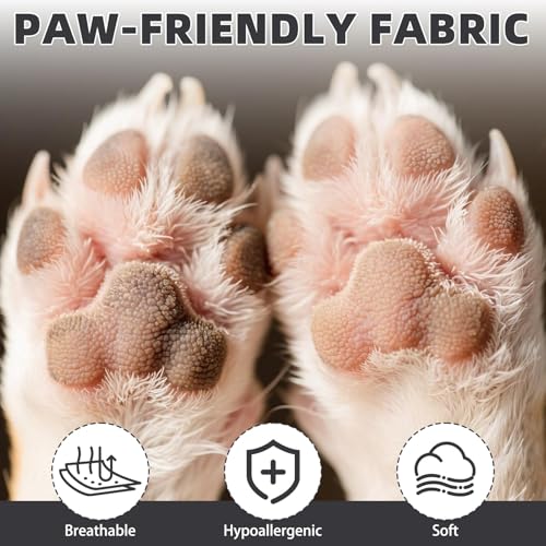 Dog Socks for Hot (Dark Grey / Large(4 Pack))