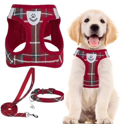 Dog Harness Collar and Leash Set No Pull for Small Medium Sized (Red / M (CHEST 16"-18"))