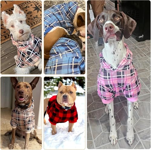 Plaid Dog Hoodie (Large / Green)