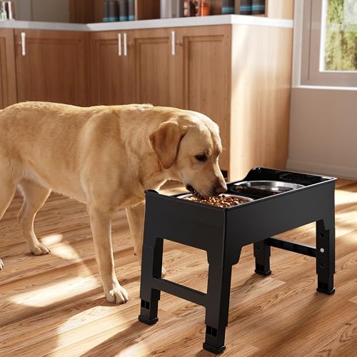 Elevated Dog Bowls