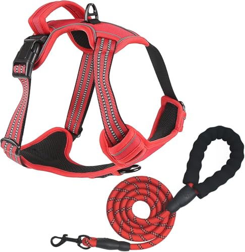 No Pull Dog Harness for Small Dog with Leash (Red / S)