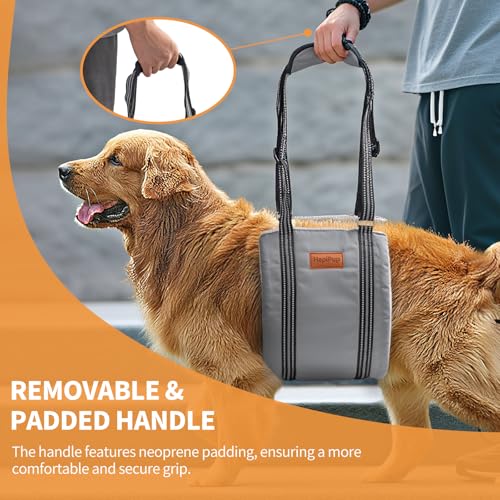 Dog Lift Harness for Large Dogs (Medium (Pack of 1) / Grey)