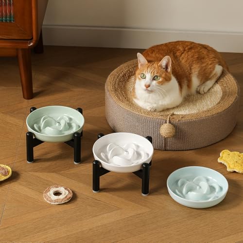 Elevated Slow Feeder Cat Bowl (Blue + Metal Stand / 9"H)