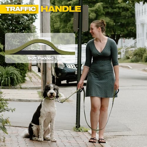 10 FT Heavy Duty Dog Leash (10 Feet (Pack of 1) / Green)