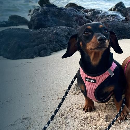 Voyager Step in Air Dog Vest Harness (Pink/Black Trim / XL (Chest: 20.5 - 23"))