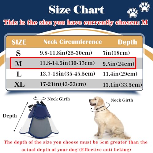 Hard & Heavy Plastic Dog Cone Collar Alternative for Medium Dogs (Navy Blue / M(Neck Girth:11.8"-14.5"))