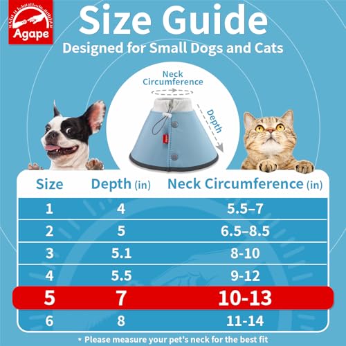 Soft Dog Cone for Small Dogs & Cats (Blue (Small Dogs Cone) / 5 (Neck:10"-13"))