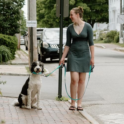 Heavy Duty Dog Leash for Medium Large Dogs (6 Feet (Pack of 1) / Teal)