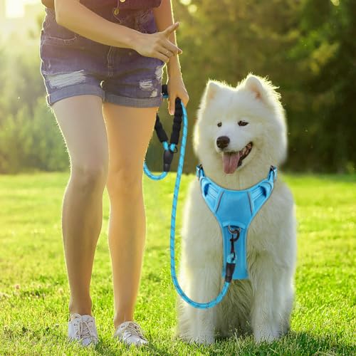 No Pull Dog Harness for Large Dogs (Large(Chest:24.5-32.5") / Blue)