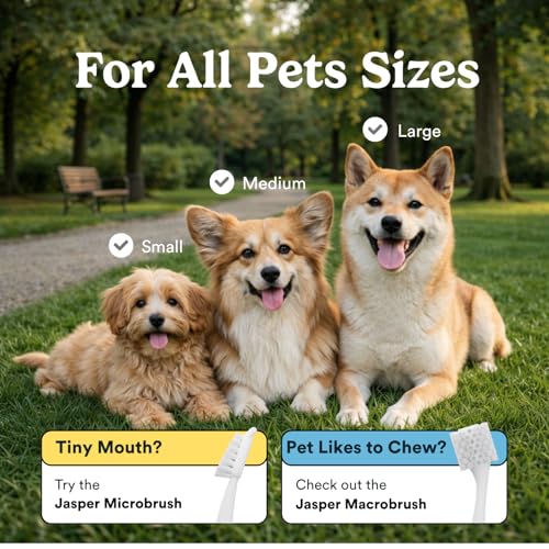 Dog Toothbrush (Blue (2-pack))