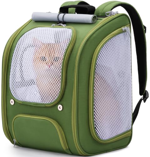 Cat Backpack Carrier (Green)