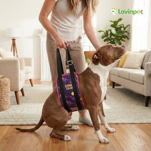 Dog Lift Harness Rear Support Sling (Purple)
