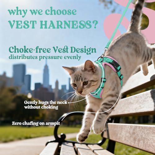 Cat Harness and Leash Set (S / Green & Pink)