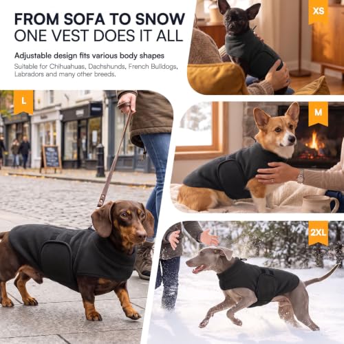 Small Dog Sweater (Black / Small)