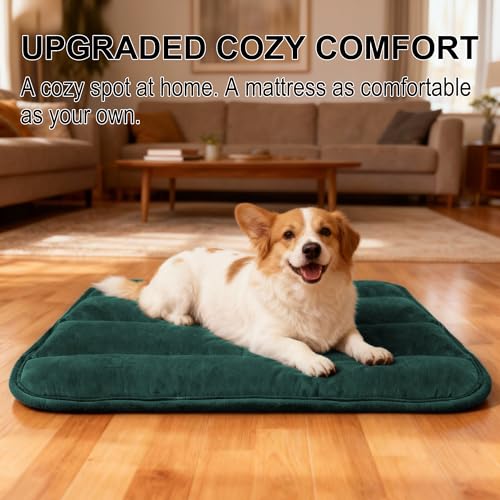 Dog Crate Pad (M(28"*16"*1.5") / New-Green-1pc)