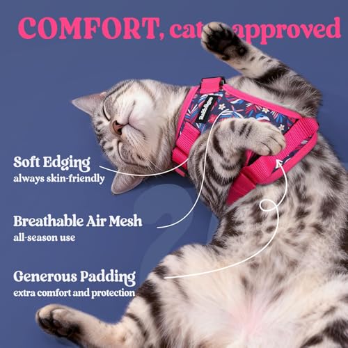 Cat Harness and Leash Set (Xxs / Coconut Fuchsia)