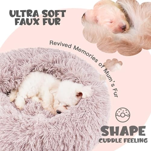 Covered Small Dog Bed with Blanket Attached Calming Burrow Beige (20.0"L x 20.0"W x 7.0"Th / Beige)