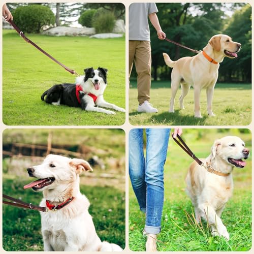 Leather Dog Leash (1.0 ft L x 0.75 in W)