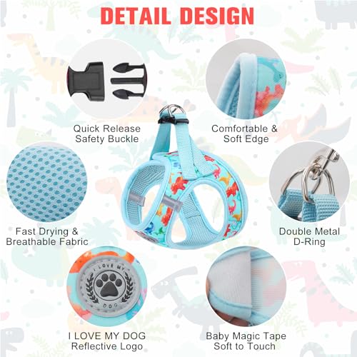 Dog Harness Medium Sized and Leash Set (Medium(Chest Girth 16" - 18") / Dinosaurs Pattern)