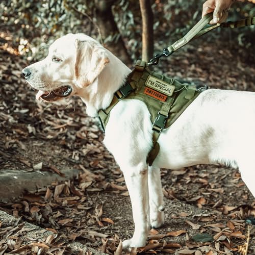 Tactical Dog Harness No (Small / Green)