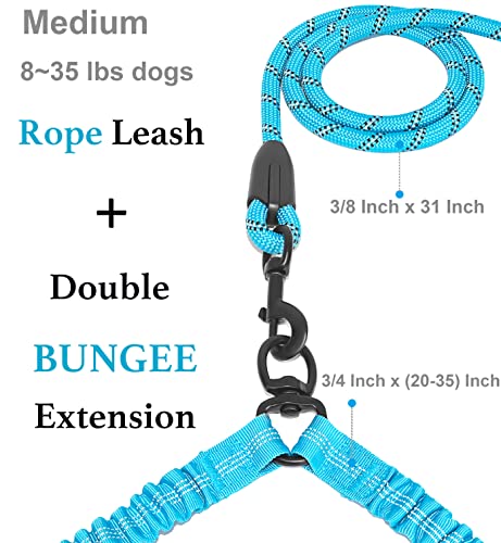 Double Dog Leash (Blue / Medium)