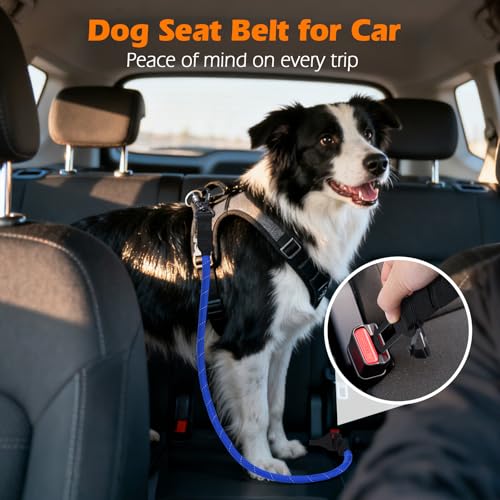 Dog Seat Belt for Car (Blue / 1 Pack)