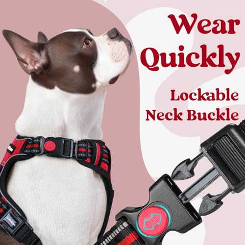 Dog Harness Small Sized (Small / Red)