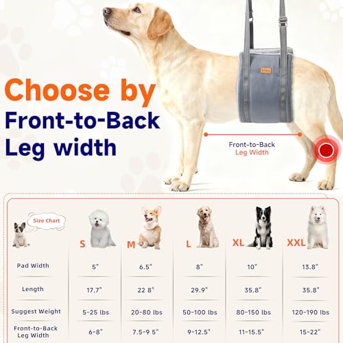 Extra Large Dog Lift Harness (Grey / XX-Large)