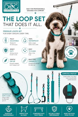Dog Grooming Loop (Teal Green)