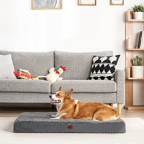 Orthopedic Dog Bed with Removable Washable Cover (30*20*3.5 inches / Grey)