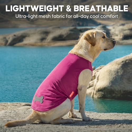 2Pack Dog Shirts for Medium Large Dogs Breathable Mesh Tank Top (XX-Large (40-55lbs) / 5# 2Pack (Strawberry+rose))