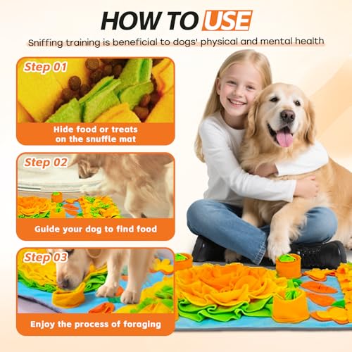 Snuffle Mat for Dogs