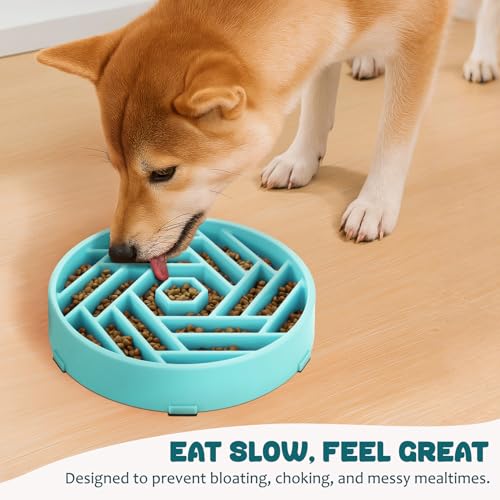 Slow Feeder Dog Bowl (sky blue)