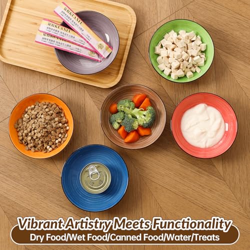 Colorful Ceramic Cat Bowls Set (color 1)