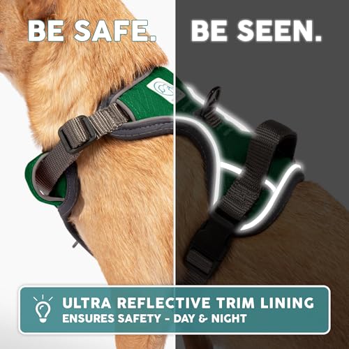 Embark No Pull Dog Harness (M / Green)