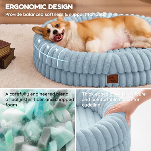 Orthopedic Dog Bed (Light Blue / L(35*28*7))