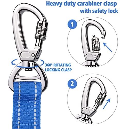 Heavy Duty Bungee Dog Leash with Locking Carabiner for Large Dogs (Navy Blue)
