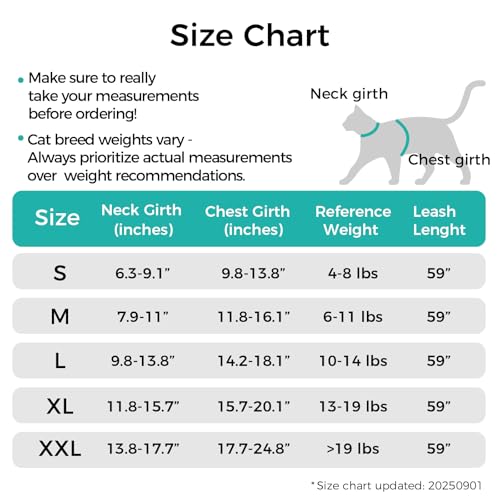 Cat Harness and Leash Set (Turquoise / Small)
