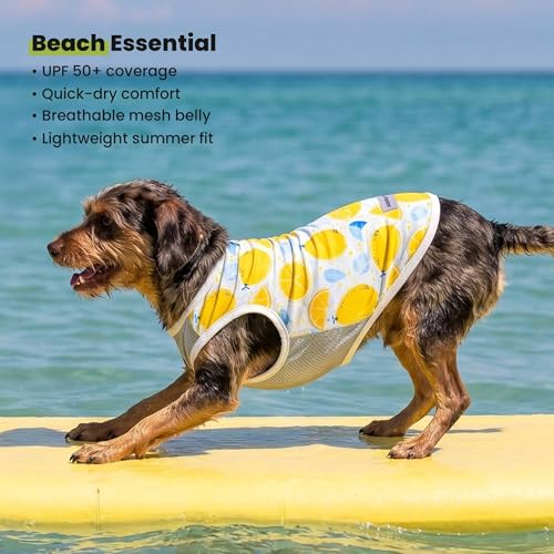 2 Pack Ice Lemon UPF 50+ UV Sun Protection Dog Shirt (X-Small / Ice & Lemon)