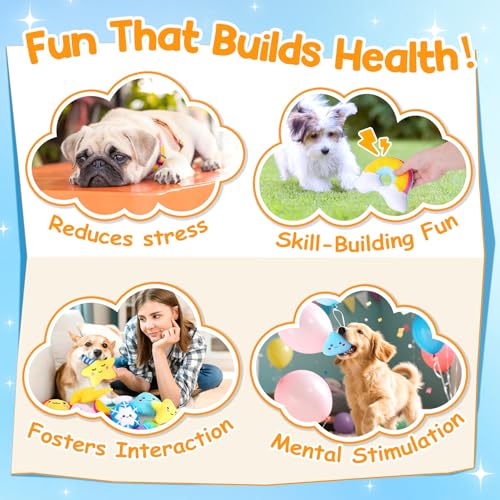 Weather Themed 20 (Weather-Themed Squeaky Toys)