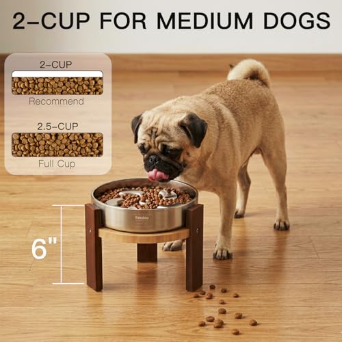 Elevated Dog Bowl Stand (6" Height 2Cups Slow Feeder)