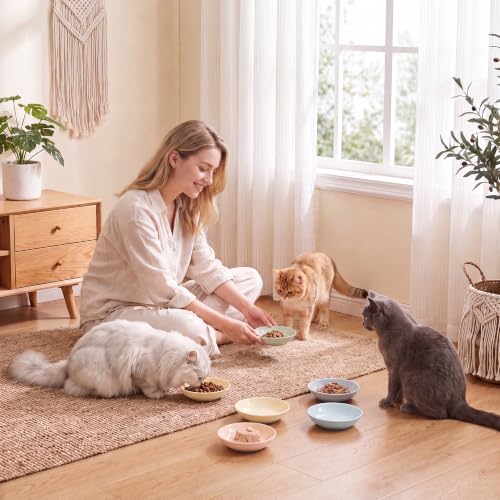 Ceramic Cat Food Bowl Set (Solid - Separate Pads)
