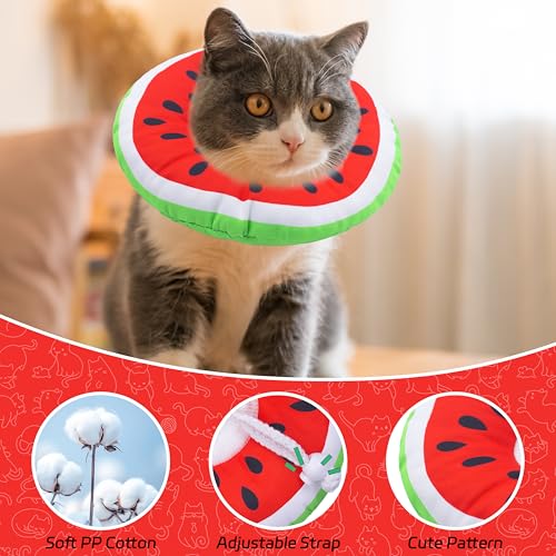 Cat Cone Collar Soft (Watermelon / Large)